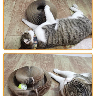 Gray and white tabby cat playing with brown corrugated and foldable cat paper nest on wooden floor